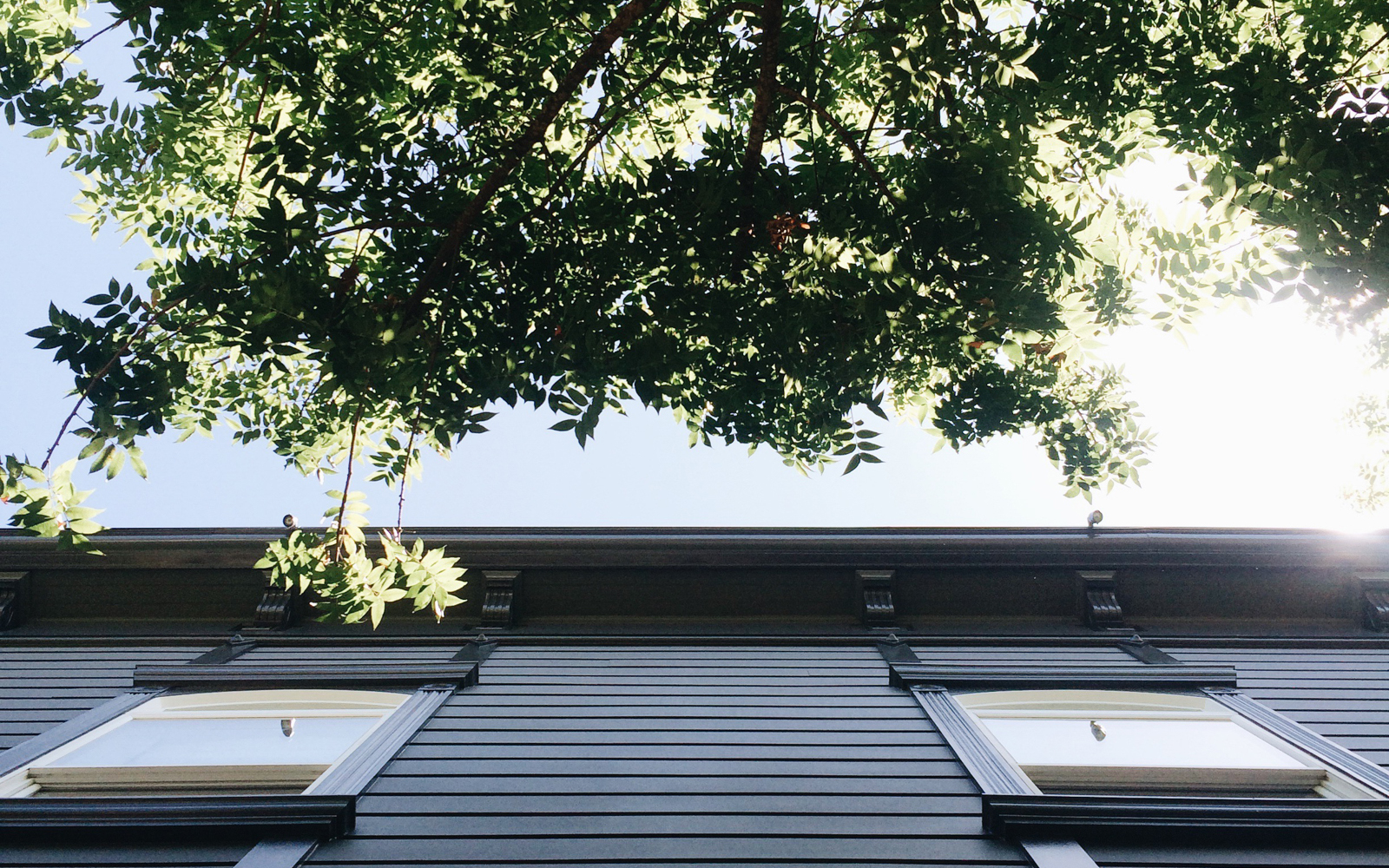 photo of Wydown Hotel exterior, looking up at trees