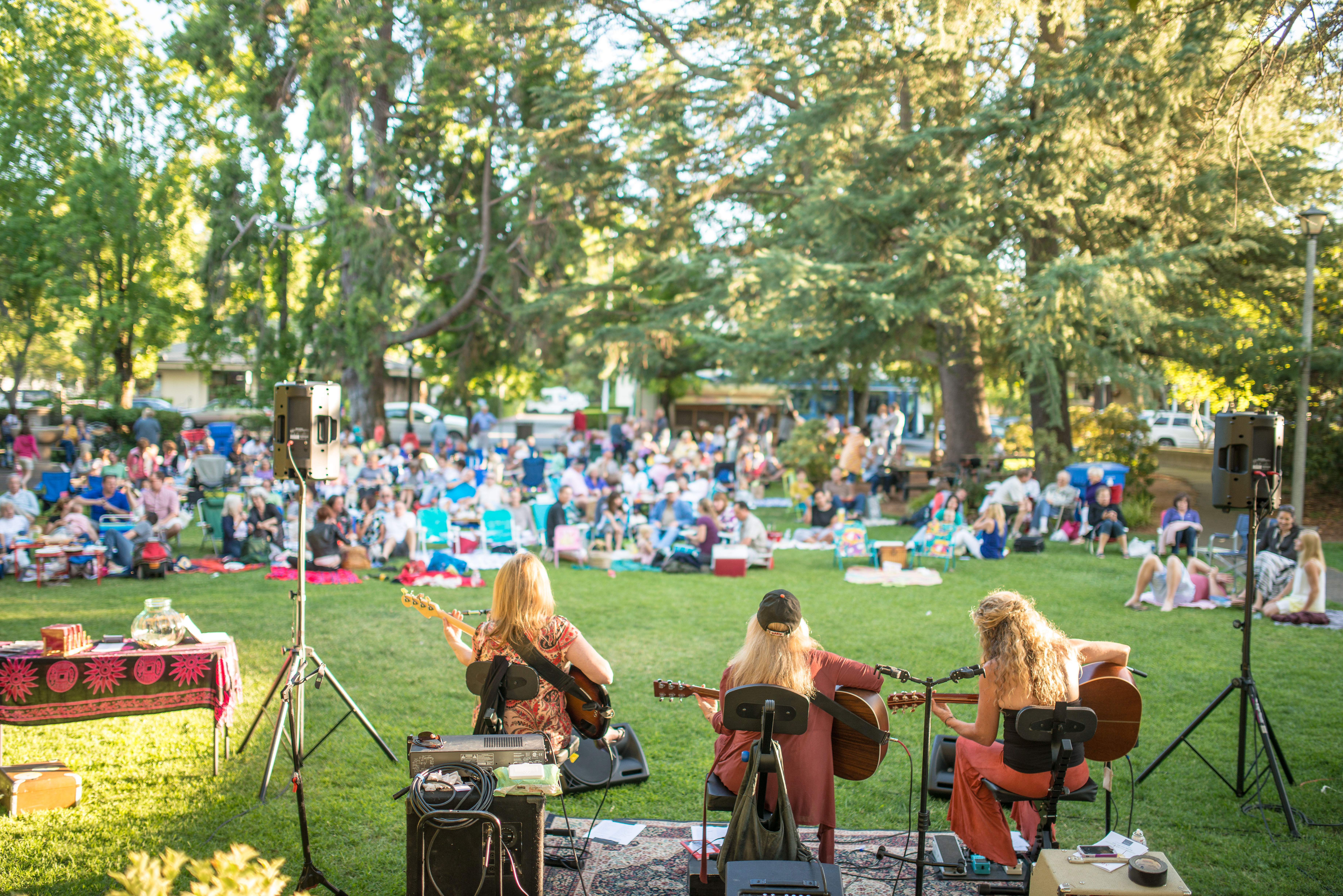 Summer concert in the park